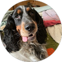 Profile photo of Dean Frame