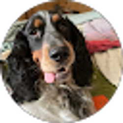 Profile photo of Dean Frame