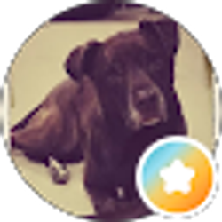 Profile photo of Hannah Polow