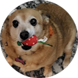 Profile photo of Jeanie Weber