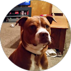 Profile photo of Sandra Dowling