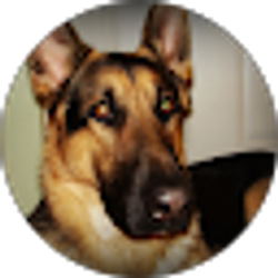 Profile photo of Brenda Coates
