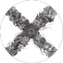 Profile photo of Skylark Zhang