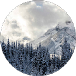 Profile photo of Malachi Buer