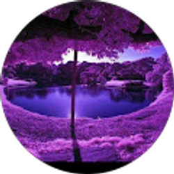 Profile photo of Karen Jackson (KayJay1)