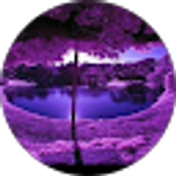 Profile photo of Karen Jackson (KayJay1)
