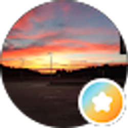 Profile photo of Texas
