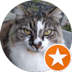 Profile photo of Daniel San!