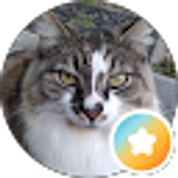 Profile photo of Daniel San!
