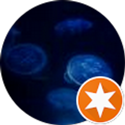 Profile photo of Mandy Dunn