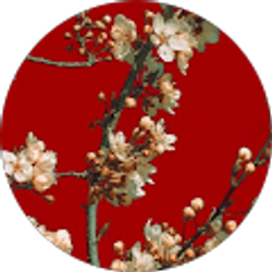 Profile photo of Noah jones