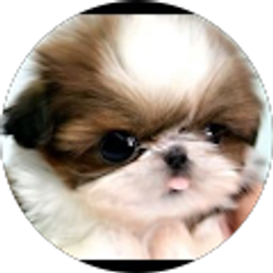 Profile photo of Alejandra Castro