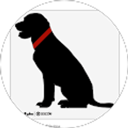 Profile photo of Shannon Wade