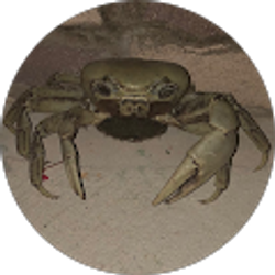 Profile photo of Dillon Zeigler