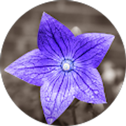 Profile photo of Timothy Pierce