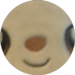 Profile photo of Ibrahima Balde