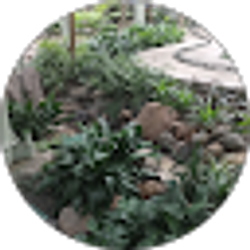 Profile photo of Luis Ortiz