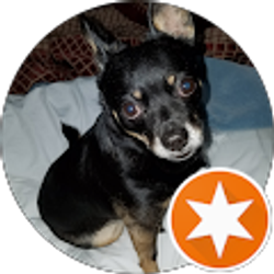 Profile photo of Sora Akuma