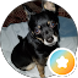 Profile photo of Sora Akuma