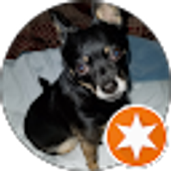 Profile photo of Sora Akuma