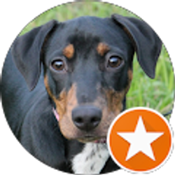 Profile photo of lorelei toschlog