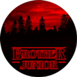 Profile photo of Brother Junior