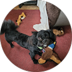 Profile photo of Kathy Binkley