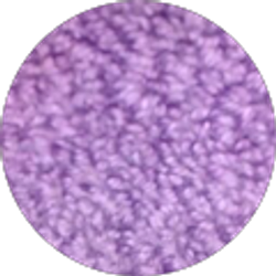 Profile photo of Pablo Salgado