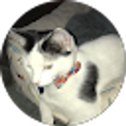 Profile photo of Christelle C
