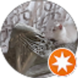 Profile photo of Anna Allebach