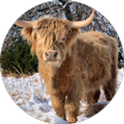 Profile photo of Kasey Wood