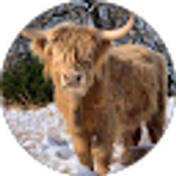 Profile photo of Kasey Wood