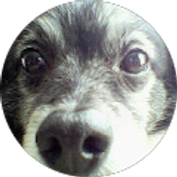 Profile photo of Nilo Roman