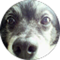 Profile photo of Nilo Roman