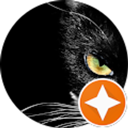 Profile photo of Sharon Martyn