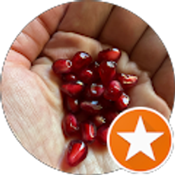 Profile photo of Mary WayZee