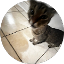 Profile photo of ilobrentfaiyaz