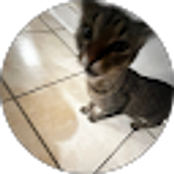 Profile photo of ilobrentfaiyaz