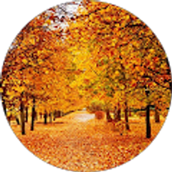 Profile photo of Ashley Strater