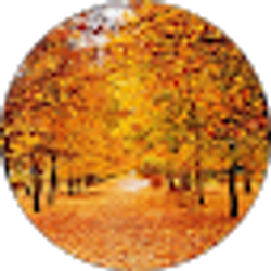 Profile photo of Ashley Strater