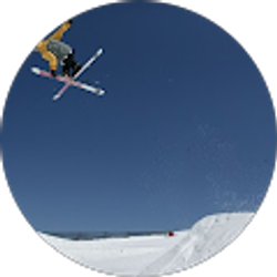 Profile photo of Dan