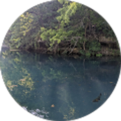 Profile photo of kerrie anne