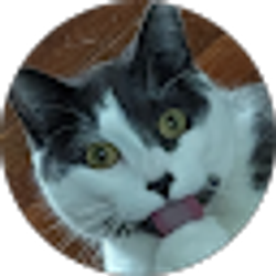 Profile photo of Kai Tacoma