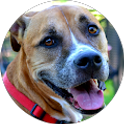 Profile photo of Beth Eskierka