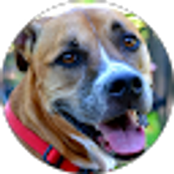Profile photo of Beth Eskierka