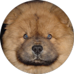 Profile photo of Ian Siu