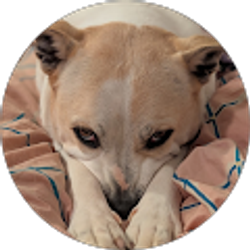 Profile photo of Bettie Edwards