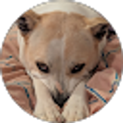 Profile photo of Bettie Edwards