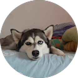 Profile photo of William Quiroz