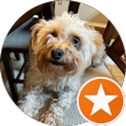 Profile photo of Judy Garcia